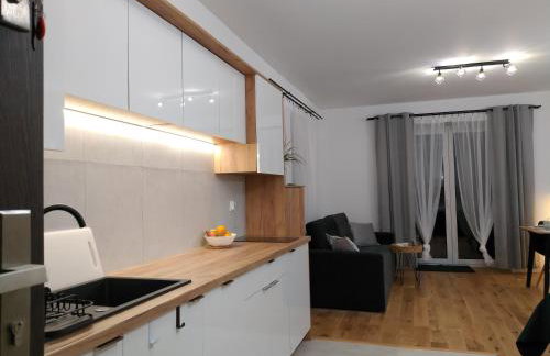 nowy apartament Płomykówka w Willi Sowiej - Foto 9