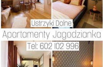 Apartamenty Jagodzianka - Jacuzzi, Sauna, Hot-bania, Tężnia - Foto 1
