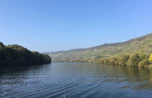 Eifelcottage Wren - Foto 17