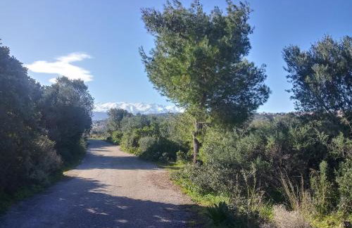 Manolo s olive farm, apartment with seaview - Foto 39