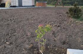 Noclegi Bieszczady, Domek na Bani 2 - Foto 14