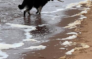 Waterfront paradise - Foto 30