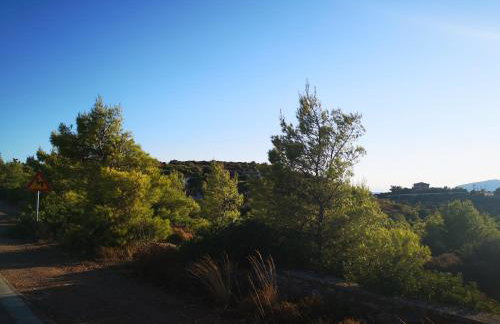 Apartment Korinos Mama Machi - Photo 44