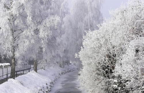 Guggi`s Alm - Foto 19