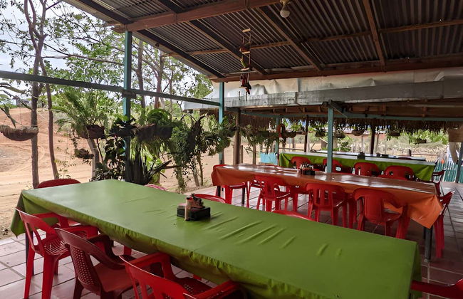 Dinner at Tatacoa Desert + Astronomical Observatory Tour - Photo 7