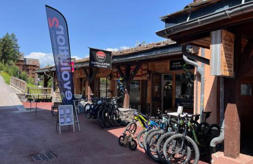 La Plagne Appartement au pied des pistes avec vue Mont Blanc - Foto 37