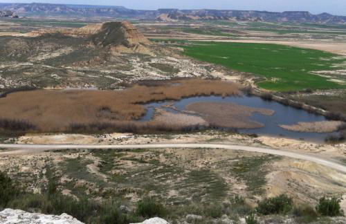 Apartamento El Estrecho de Arguedas - Foto 26
