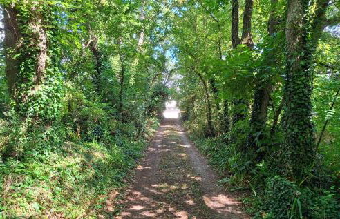 Amazing Home In Névez With Wifi - Foto 30