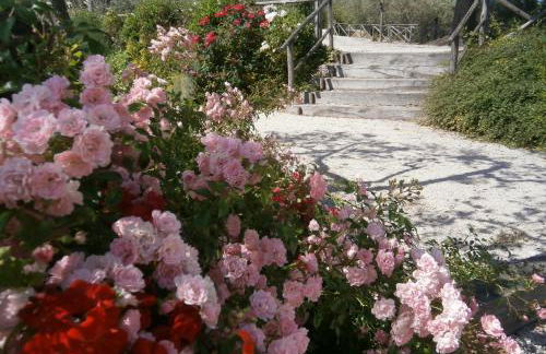 Tenuta Colverano - Foto 19