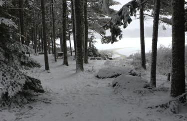 Beautiful Maine Retreat 4 Bdrm Lakeside Cottage - Foto 30