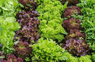 Casa el Nogal - Foto 42