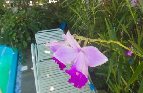 Pousada Mar Aberto Pinheira - Foto 77