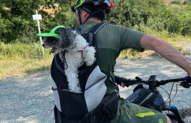 Agriturismo iOlive Tuscany appartamento Pendolino - Foto 36