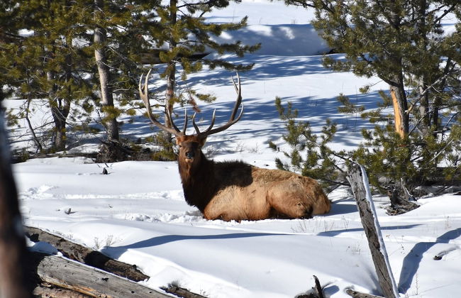 Aspen Springs Angel fire - Foto 69