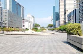 Dreaming Vesuvio Napoli - Foto 19