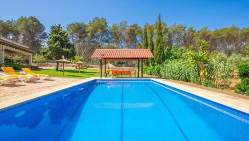 El Bosque Candy - Foto 3