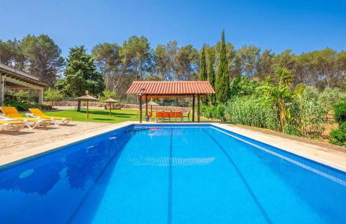 El Bosque Candy - Foto 3