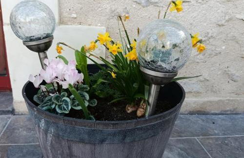 Gîte paisible 2 chambres près de Tours et Amboise - FR-1-381-628 - Foto 29