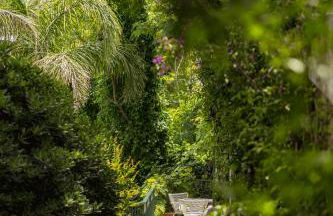 Villa Lilia - Foto 46