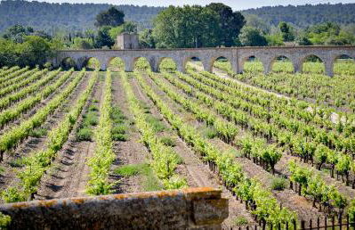 La Résidence du Château de Jouarres - Foto 22