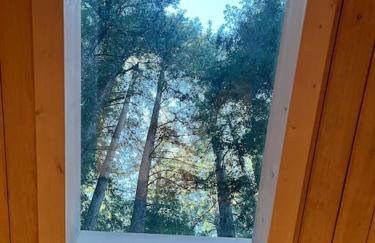 Window to the Redwoods - Near Downtown MV, Dipsea Trail, & Muir Woods - Foto 18