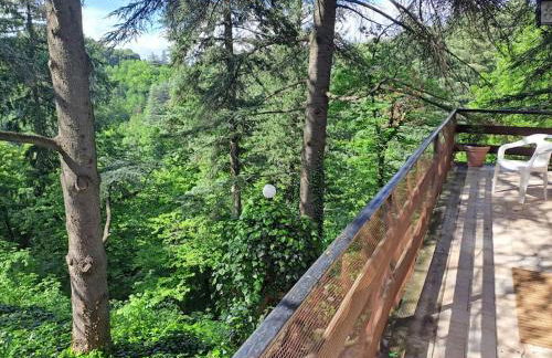 LA BARCA NEL FRUTTETO Natura e relax in collina - Foto 68