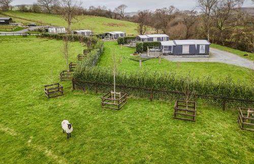 King Fisher - Foto 17