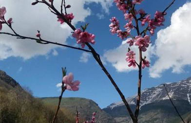 Casa Sastre - Foto 18