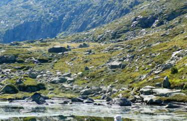 Pleine nature Pied pistes Piscine chauffée - Foto 40