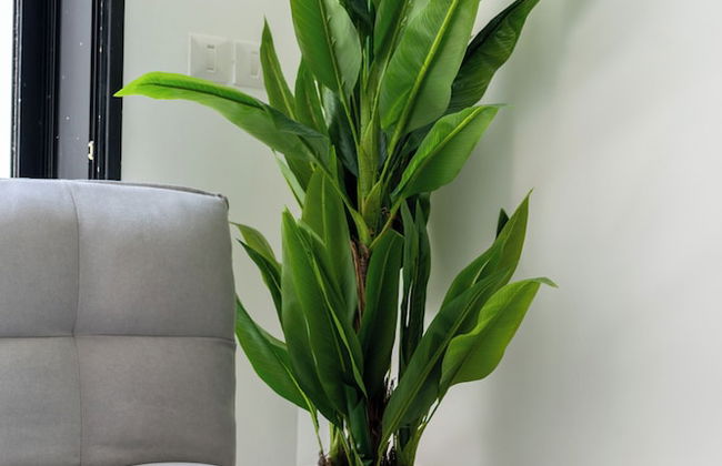 O&O - 2 BR Stylish & Modern Apartment - Foto 19