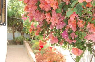 La Casa de la Rapita - Foto 34