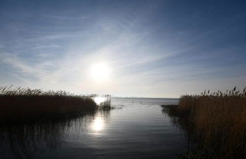 Ferienwohnung Boddenliebe - Foto 37