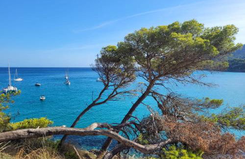 Apartment 4B Formentor sea view & pool in Cañamel - Foto 28