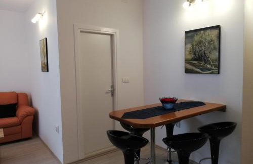 APARTMANI NOVA - Photo 46