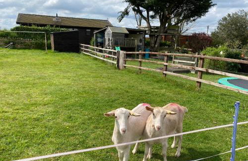 Rew Farm Country and Equestrian Accommodation - Sunset Lodge - Photo 36