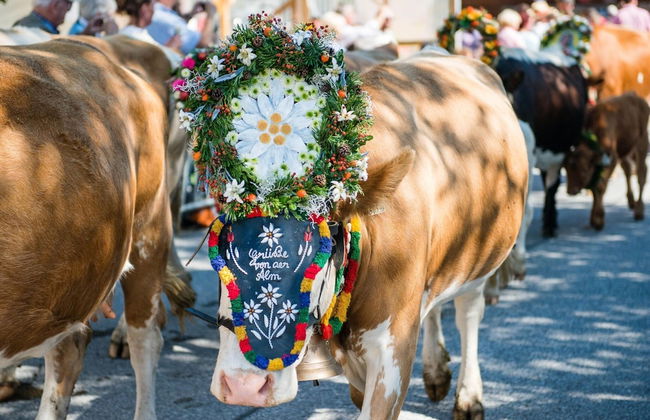 Apartment in Wald im Pinzgau Near Ski Slope - Foto 31
