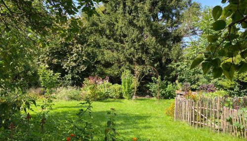 Robins Nest - Charmanter Altbau, zentral & ruhig, inkl Parkplatz - Foto 5, Garden, Garden view