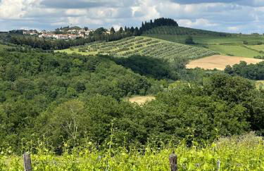 Agriturismo Fattoria Sant'Appiano - Foto 118