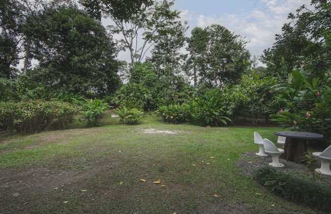 Eden Organic Farm & Bungalows - Foto 65