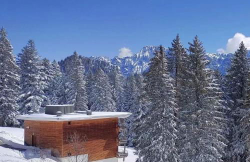 Chamrousse 1700 - Les Domaines de LArselle - Silènes C32 - Classé 3 étoiles- Vue sur les montagnes - - Foto 21