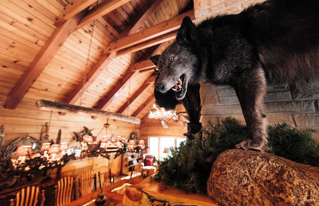 Grayling Gem Royal Stag Lodge - Foto 41