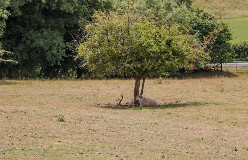 Phocle Ridge - Foto 39