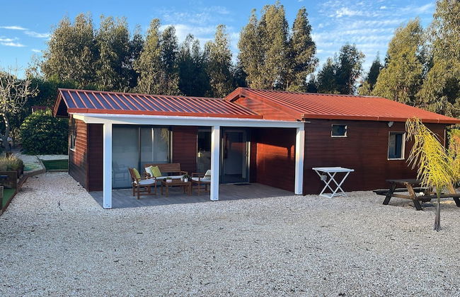 Herdade do Kuanza - Photo 57