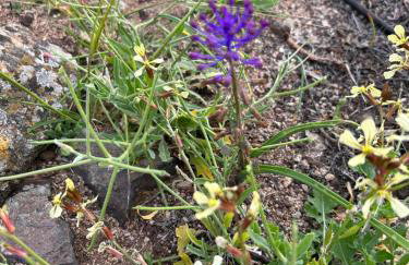 Brisa y Marea - Foto 33