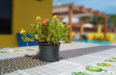 Pousada dos Sonhos - Photo 16