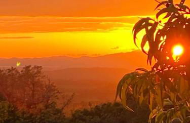 Tenuta Le Mandorlaie, Agriturismo in Scansano - Foto 33