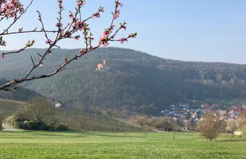 Villa Mandelblüte - Foto 6