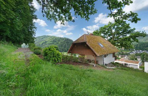 Ferienhaus Rotkreuz - Foto 34