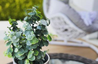 Luxury Villa4you - Foto 53