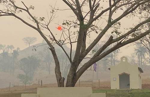 Cabana Terra frente para rio - Photo 16